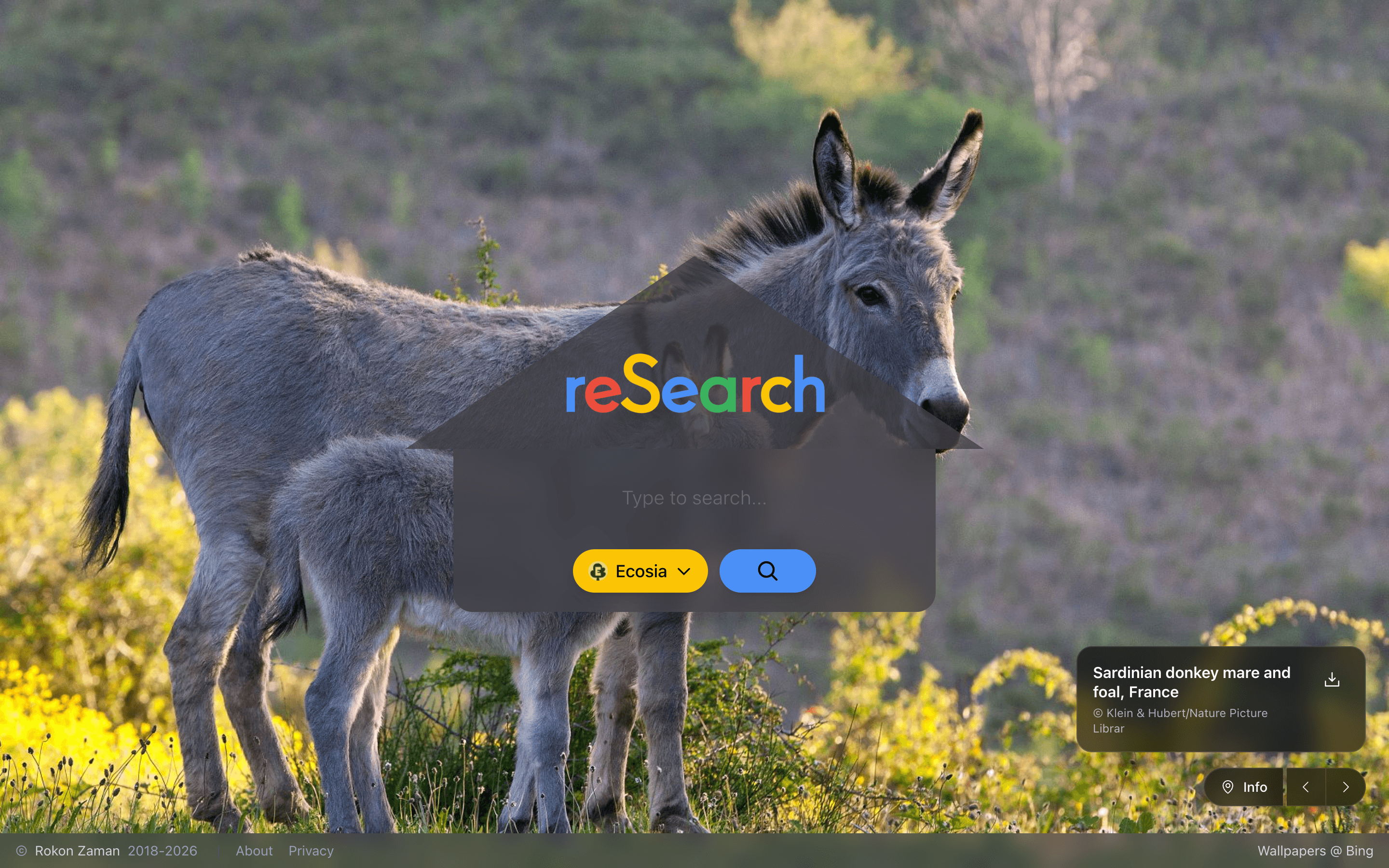 reSearch icon